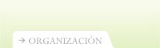 Organizadores